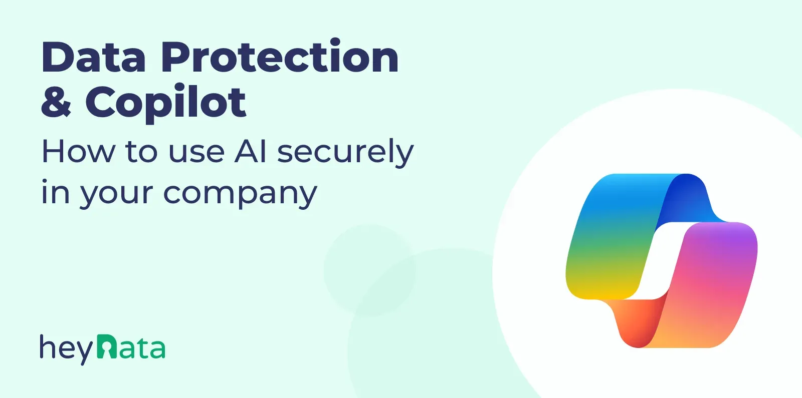 Data Protection Copilot. How to use AI safely in your company
