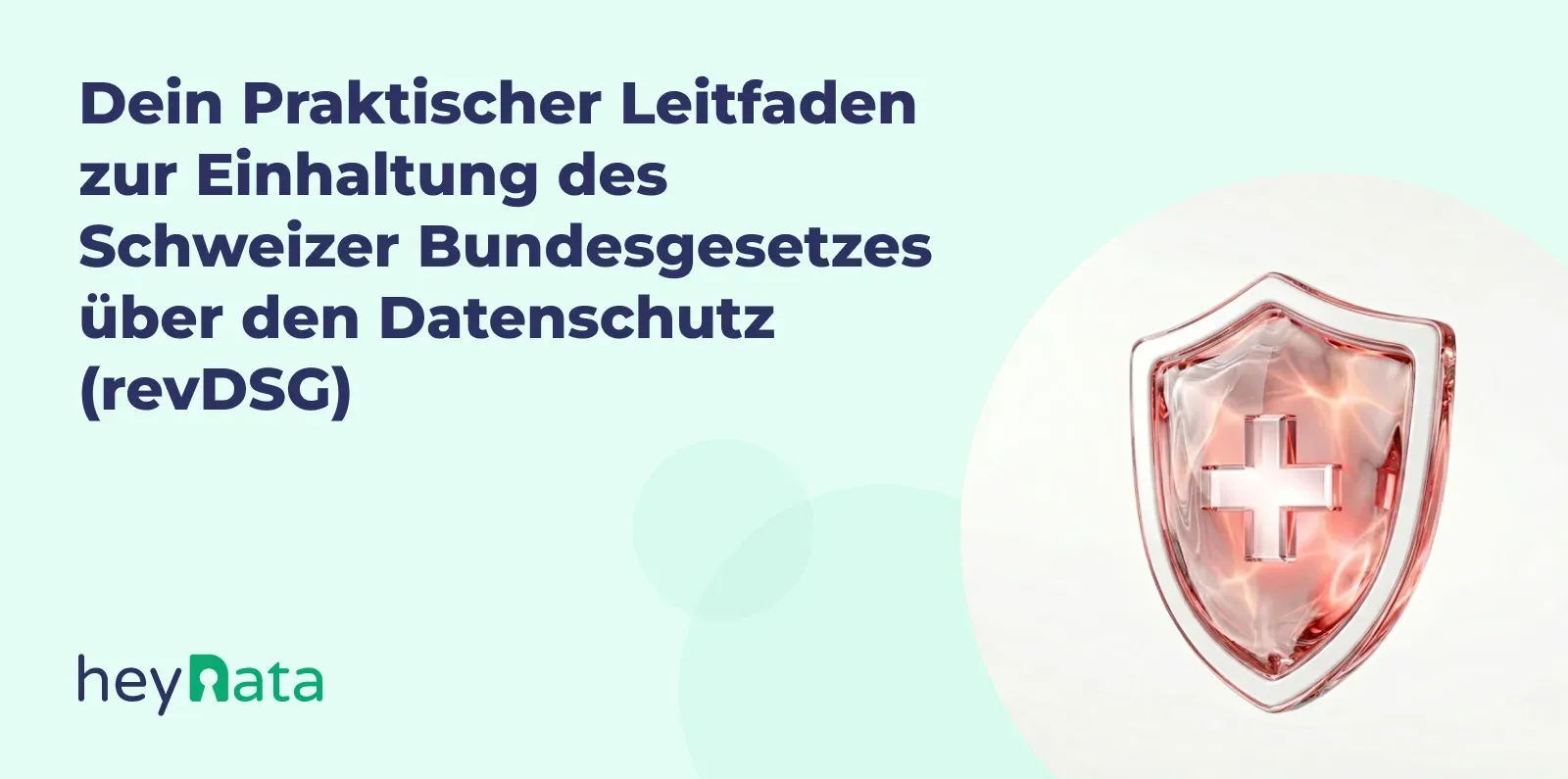 revDSG umsetzen: Praktischer Leitfaden für Unternehmen
