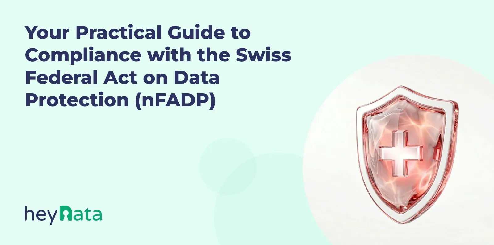 Implementing the revDSG: A Practical Guide for Businesses