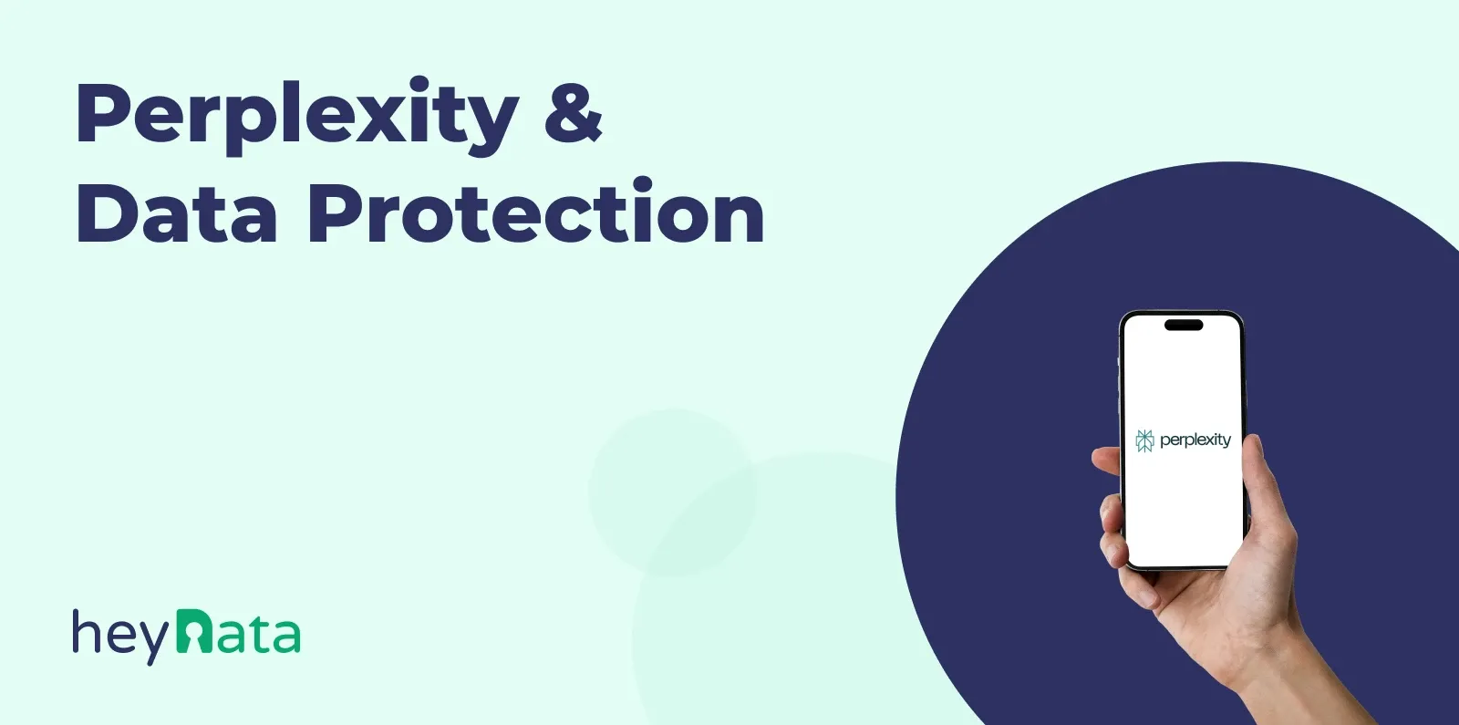 perplexity-and-data-protection